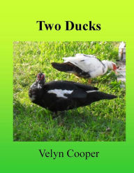 Title: Two Ducks, Author: Velyn Cooper