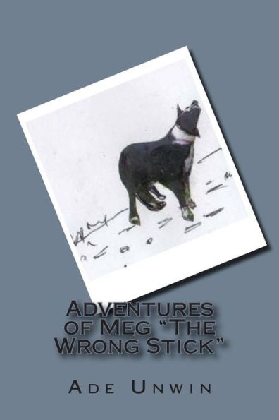 Adventures of Meg "The Wrong Stick": A Clever Border Collie Dogs diary