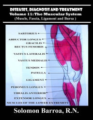 Title: Diseases, Diagnosis and Treatment, Author: Solomon Barroa R N