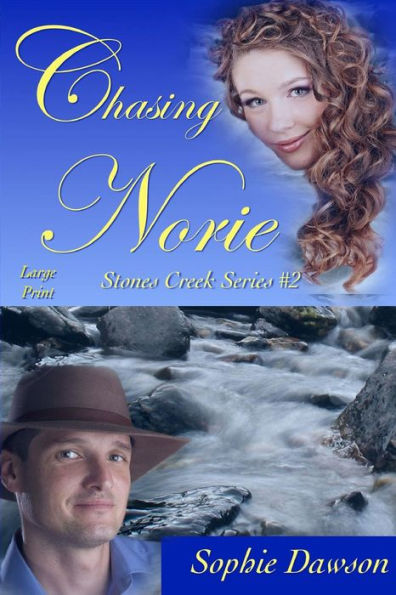 Chasing Norie: Large Print