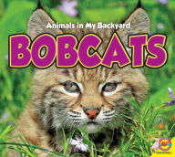 Title: Bobcats, Author: Aaron Carr