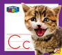 Cc