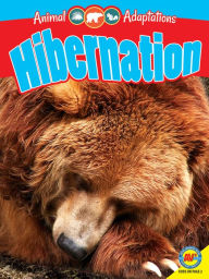 Title: Hibernation, Author: Pamela McDowell