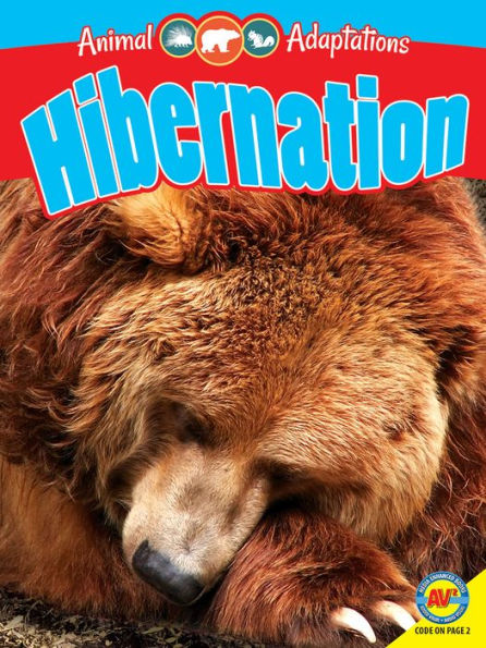 Hibernation