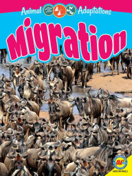 Title: Migration, Author: Megan Kopp