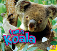 Title: Koala, Author: Heather Kissock