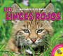 Los linces rojos