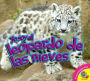 El leopardo de las nieves