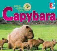 Title: Animals of the Amazon Rainforest: Capybara, Author: Katie Gillespie