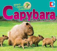Title: Animals of the Amazon Rainforest: Capybara, Author: Katie Gillespie