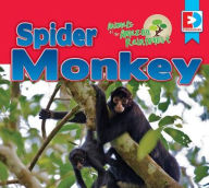 Title: Animals of the Amazon Rainforest: Spider Monkey, Author: Katie Gillespie