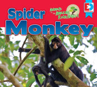 Title: Animals of the Amazon Rainforest: Spider Monkey, Author: Katie Gillespie