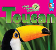 Title: Animals of the Amazon Rainforest: Toucan, Author: Katie Gillespie