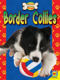 Title: Border Collies, Author: Susan H. Gray