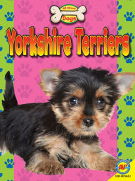 Title: Yorkshire Terriers, Author: Susan H. Gray