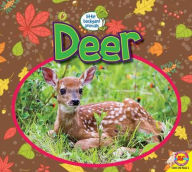 Title: Deer, Author: Samantha Nugent