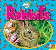 Title: Rabbits, Author: Heather Kissock