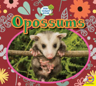 Title: Opossums, Author: Heather Kissock