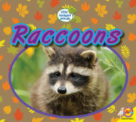 Title: Raccoons, Author: Heather Kissock