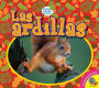 Las ardillas