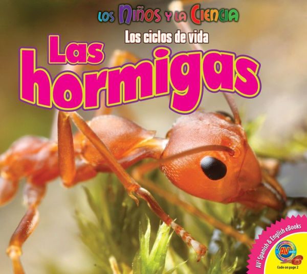 Las hormigas