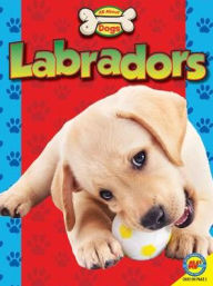 Title: Labradors, Author: Susan Heinrichs Gray