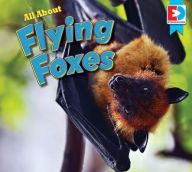 Title: All about Flying Foxes, Author: Katie Gillespie