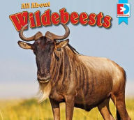 Title: All about Wildebeests, Author: Katie Gillespie