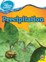 Title: Precipitation, Author: Frances Purslow