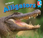 All About Alligators