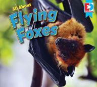 Title: All About Flying Foxes, Author: Katie Gillespie