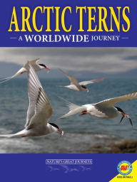 Title: Arctic Terns: A Worldwide Journey, Author: Rebecca Hirsch