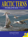 Arctic Terns: A Worldwide Journey