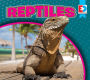 Reptiles