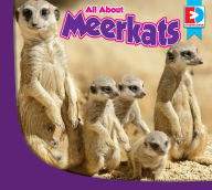 Title: All About Meerkats, Author: Piper Whelan