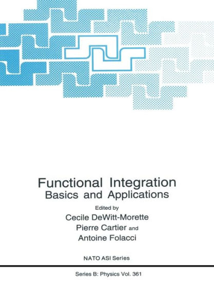 Functional Integration: Basics and Applications