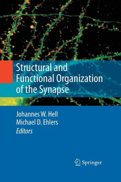 Structural and Functional Organization of the Synapse