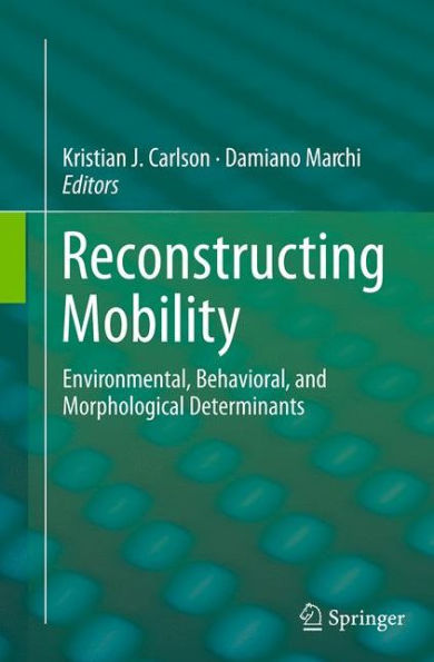 Reconstructing Mobility: Environmental, Behavioral, and Morphological Determinants