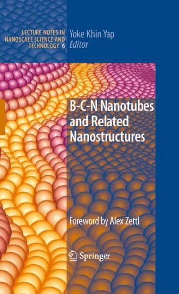 B-C-N Nanotubes and Related Nanostructures / Edition 1