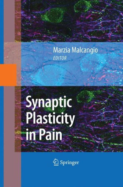 Synaptic Plasticity in Pain