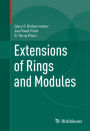 Extensions of Rings and Modules