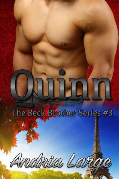 Quinn: (The Beck Brothers Series)