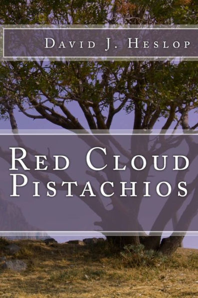 Red Cloud Pistachios