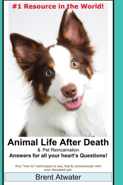 Animal Life After Death & Pet Reincarnation: Answers for all your heart's Questions!