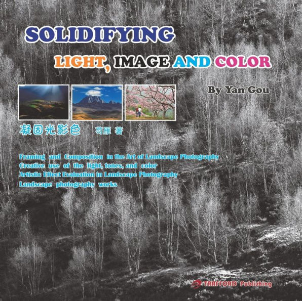 SOLIDIFYING LIGHT, IMAGE AND COLOR