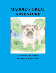 Title: Maddie's Great Adventure, Author: Amy Allinson