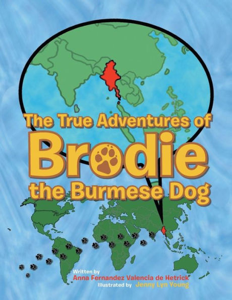 the True Adventures of Brodie Burmese Dog
