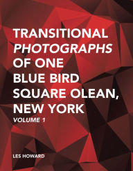 Title: Transitional Photographs of One Blue Bird Square Olean, New York: Volume 1, Author: Les Howard