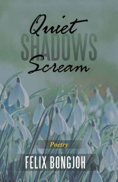 Quiet Shadows Scream