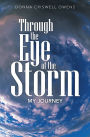 Through the Eye of the Storm: My Journey